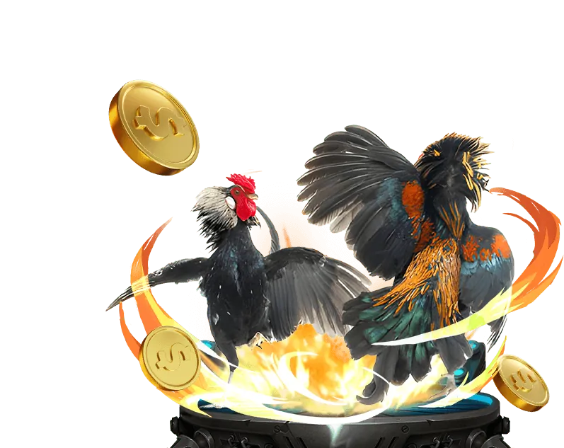 Trải nghiệm casino trực tuyến hs bet